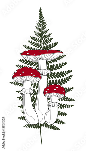 Fly agaric with fern