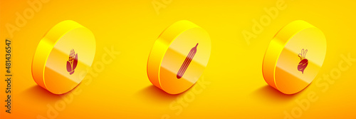Set Isometric Corn, Fresh cucumber and Beet icon. Vector