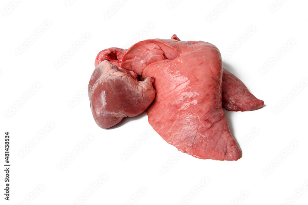 Raw pork lungs and heart on white background.