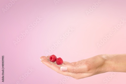 Yound female hand hold ripe red raspberry Female hand with crimson manicure. Crimson nail design.
