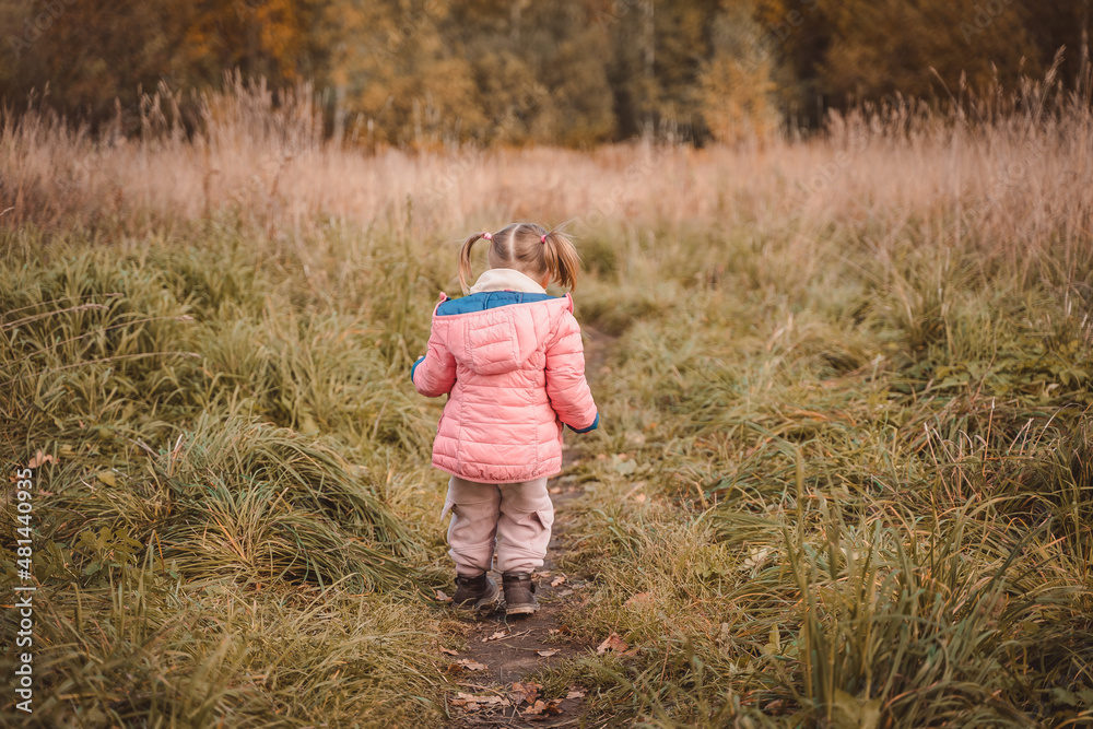 A little girl walks alone in a field. The child runs unattended in nature A little girl walks alone in a field. The child runs unattended in nature