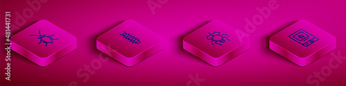 Set Isometric line Cockroach, Centipede, Spider and Book about insect icon. Vector