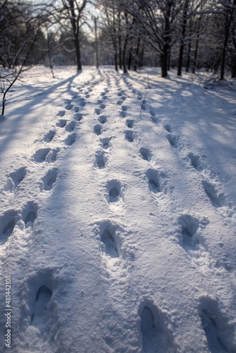 human tracks in the snow