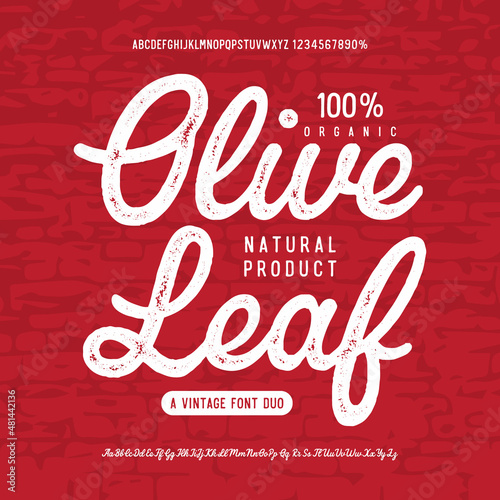 Olive Leaf. Brush Script and Sans Serif Fonts. Vector
