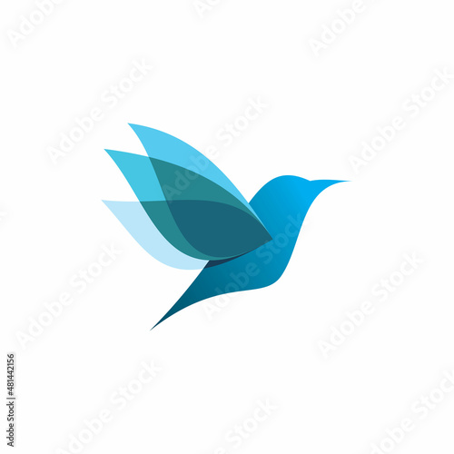 blue color humming bird logo design