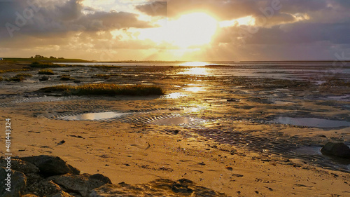 Wallpaper Mural Sonnenuntergang im Wattenmeer an der Nordsee Torontodigital.ca
