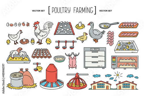 Vector hand drawn set on the theme of poultry farming, agriculture, factory, food, chicken. Isolated colorful doodles, line icons for use in design