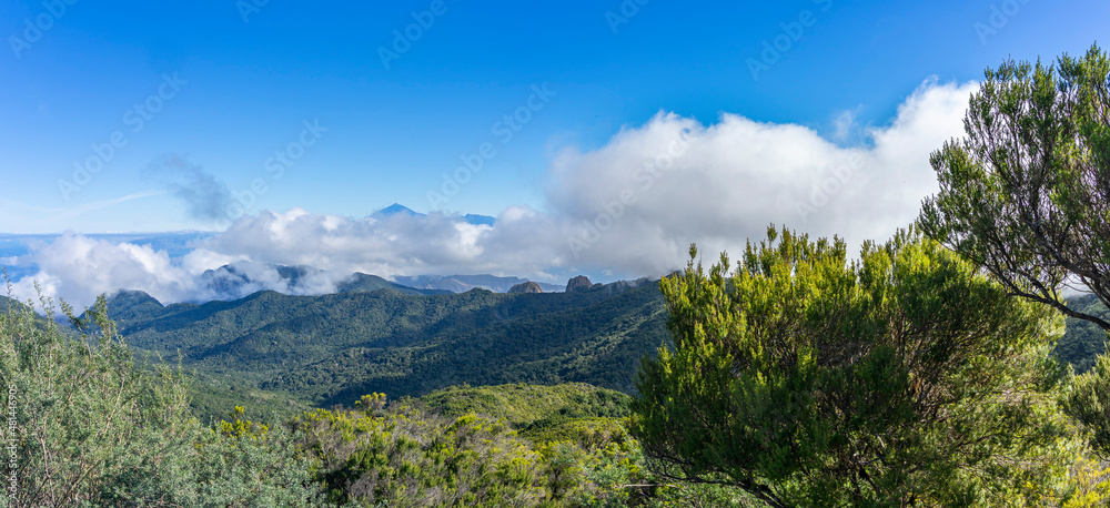 Naklejka premium Wanderurlaub auf LA GOMERA, Kanarische Inseln: Panoramablick bei Wanderung am Gipfel Alto de Garajonay im Nationalpark Richtung Teide in den Wolken