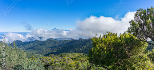 Wanderurlaub auf LA GOMERA  Kanarische Inseln  Panoramablick bei Wanderung am Gipfel Alto de Garajonay im Nationalpark Richtung Teide in den Wolken