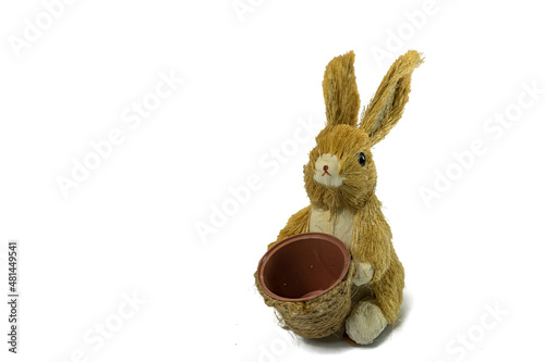  easter bunny isolated on white