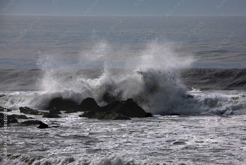 Obraz premium Pacific Ocean Surf