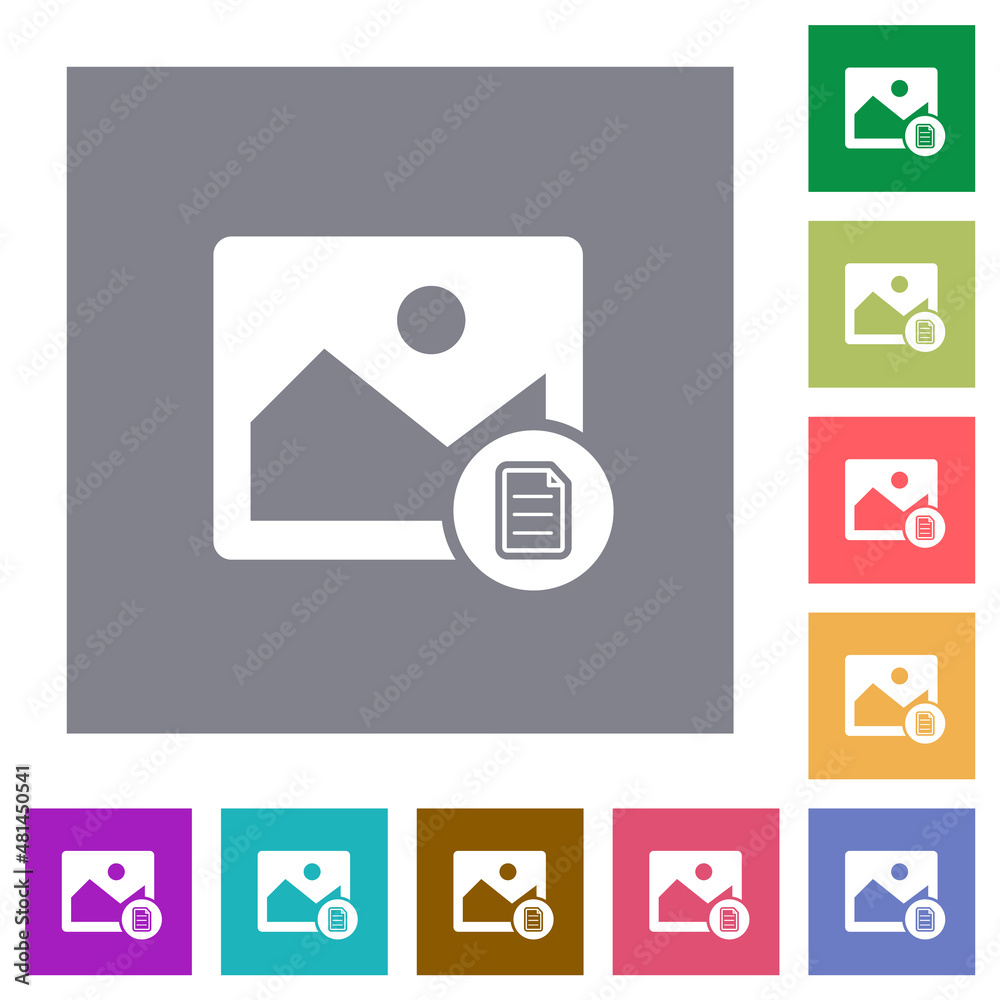 Image info square flat icons Image info square flat icons