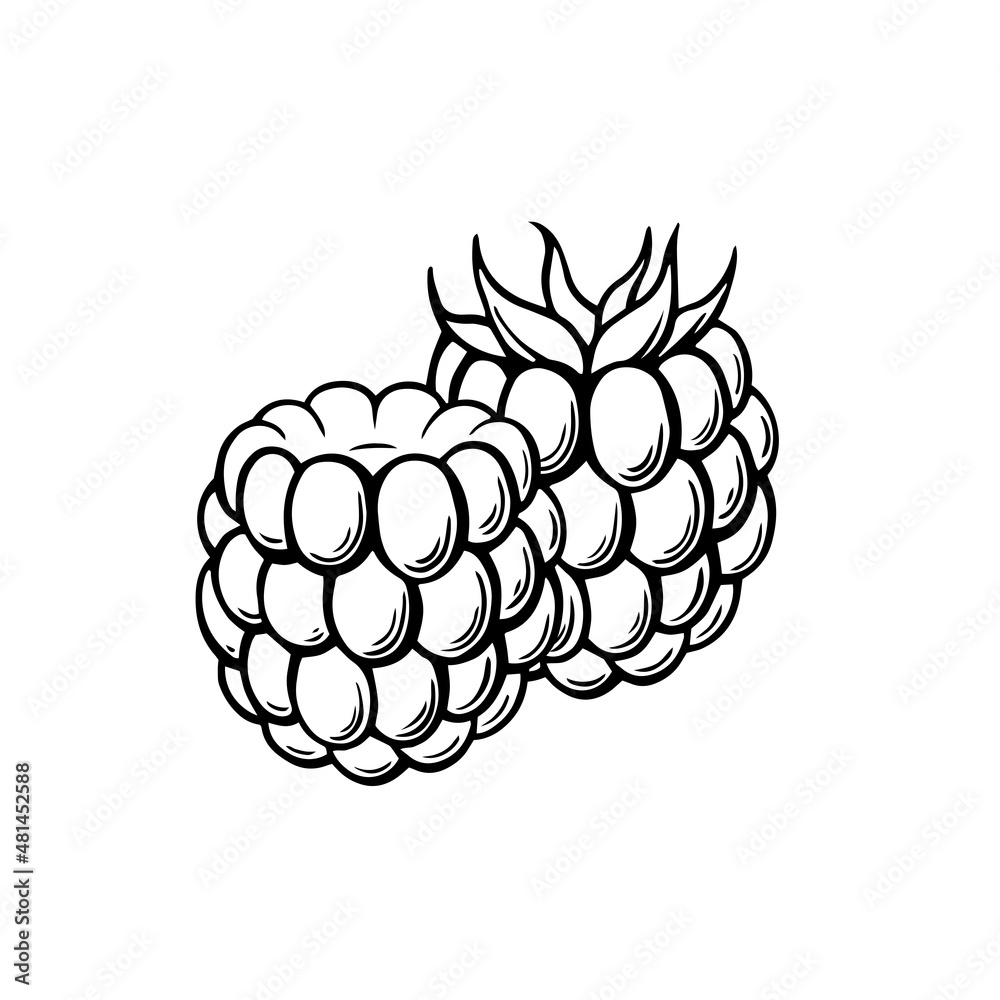 raspberry icon raspberry icon