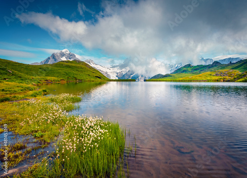 Spectacular summer view of Bachalpsee lake with Schreckhorn and Wetterhorn peacks on background. Green morning scene of Swiss Bernese Alps, Switzerland, Europe. Beauty of nature concept background..