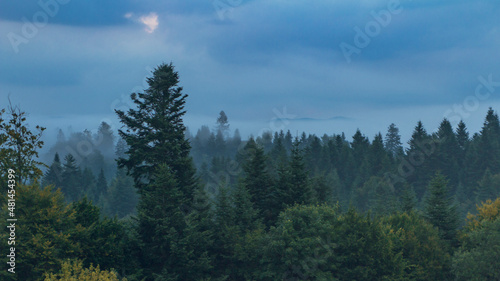 Fototapeta Naklejka Na Ścianę i Meble -  Morning forest in the Bieszczady Mountains