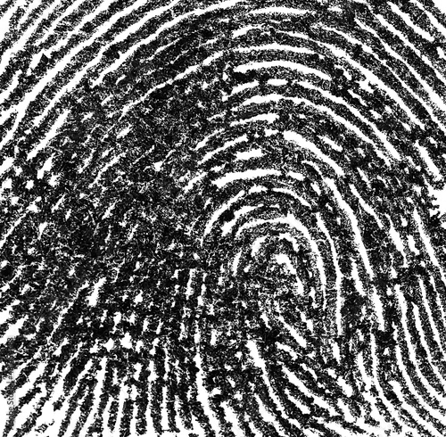 Fingerprint on white paper, as background. Real fingerprint. Macro.