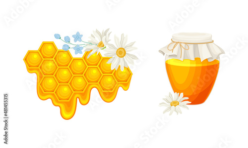 Beekeeping and honey production set. Honeycomb slice with liquid honey and glass jar of fresh apiculture product vector illustration