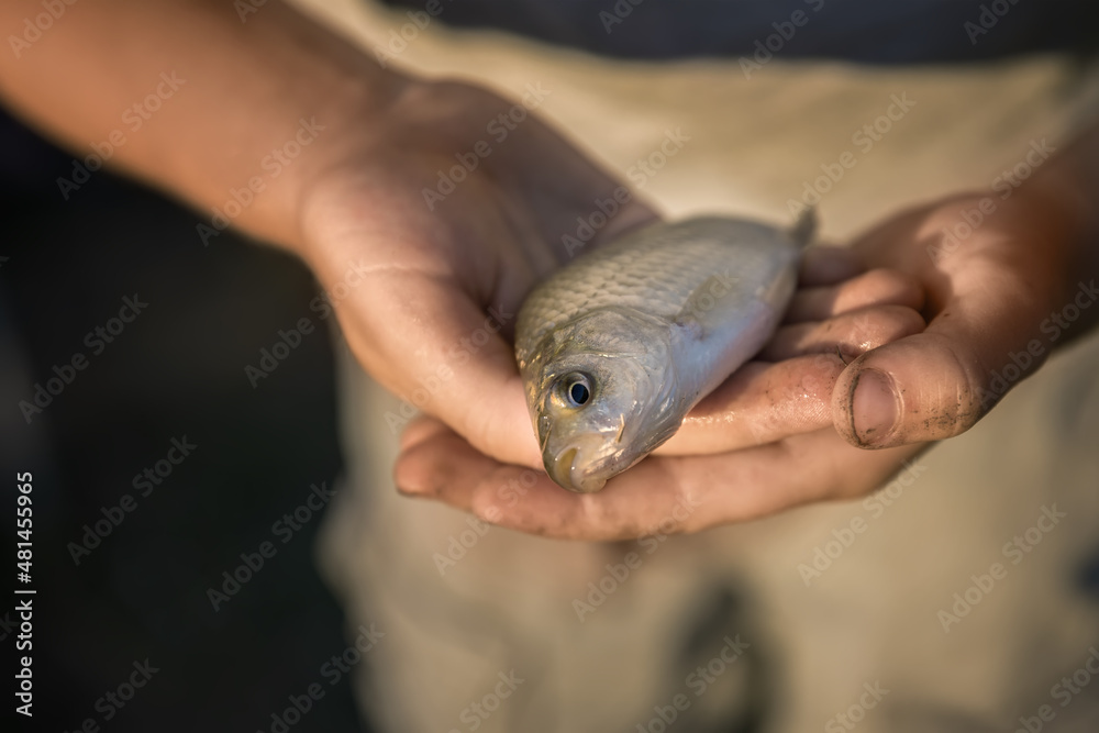 fishing girl caught a fish