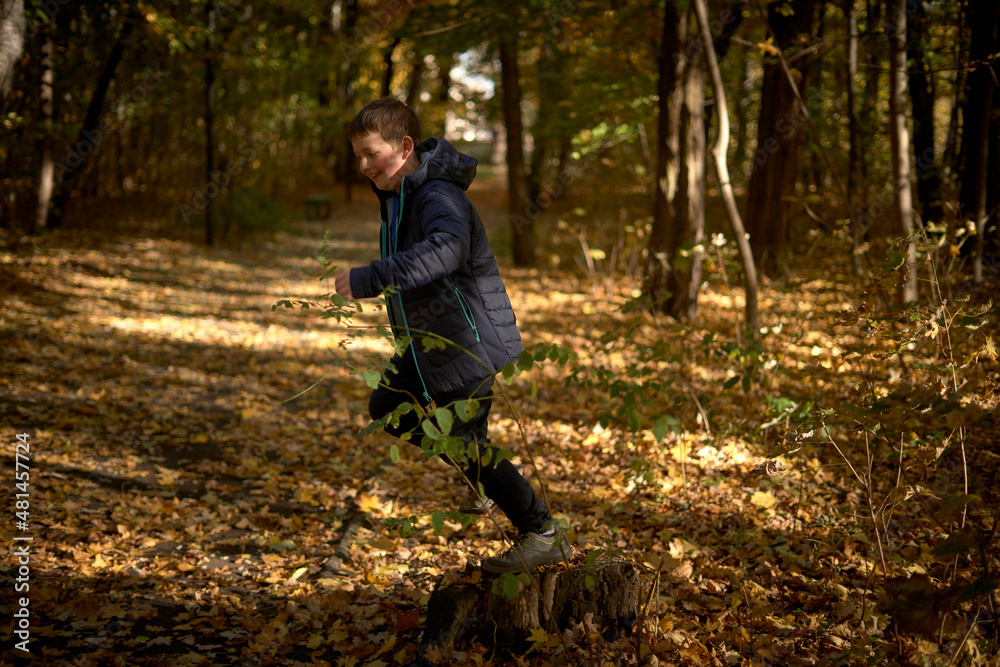 Boy and autumn in park Boy and autumn in park