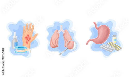 Human organs examination and treatment set vector illustration