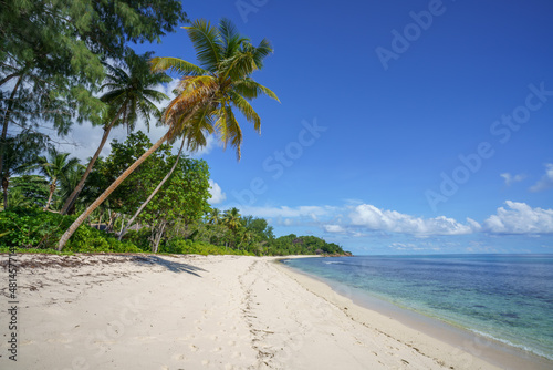 Fototapeta Naklejka Na Ścianę i Meble -  tropical beach anse georgette on praslin on the seychelles