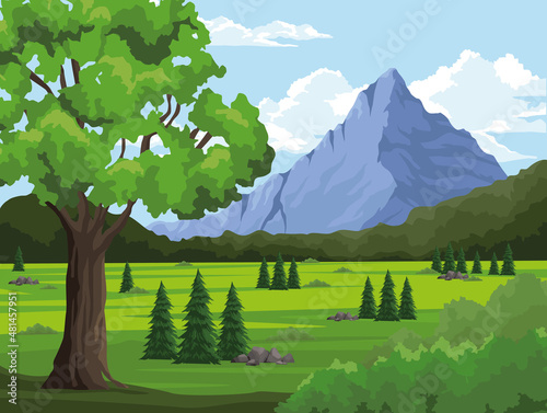 trees and mountain scene