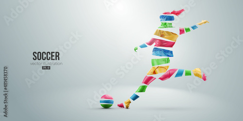 football soccer player woman in action isolated white background. Vector illustration