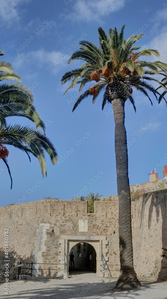 château fort de Saint-Tropez sur la french Riviera dans le Var, sud de la France