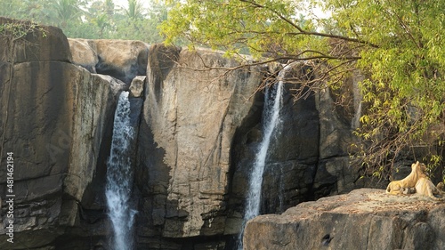 Thirparappu falls; Amazing tourist place with water,rocks and beautiful scenery; Located in Kanyakumari District, Tamilnadu, India photo