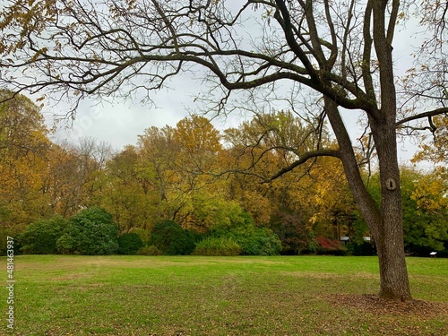 Virginia landscape