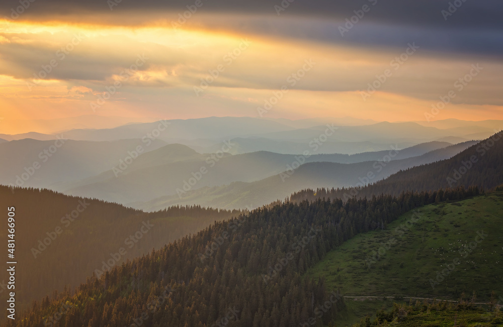 Obraz premium landscape in the Alps with fresh green meadows and blooming flowers and snow-capped mountain tops in the background