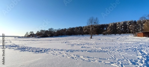 Winter landscape