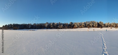 Winter landscape
