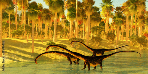 Lush Dinosaur Habitat - Barosaurus dinosaurs come down to a jungle river to wade and drink during the Jurassic Period of North America. photo