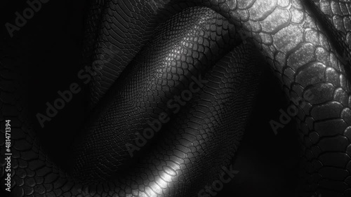 Snake Knot Loop
