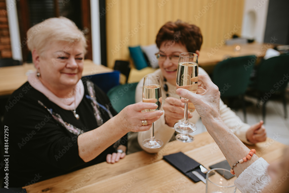 Smiling elderly dark-haired and fair-haired women with makeup dressed in black and white jackets clinking glasses of wine or champagne in cafe celebrating their meeting with friends Smiling elderly dark-haired and fair-haired women with makeup dressed in black and white jackets clinking glasses of wine or champagne in cafe celebrating their meeting with friends