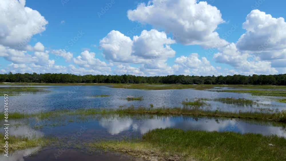 Panoramic View of Weeki Wachee Lake in Florida Panoramic View of Weeki Wachee Lake in Florida