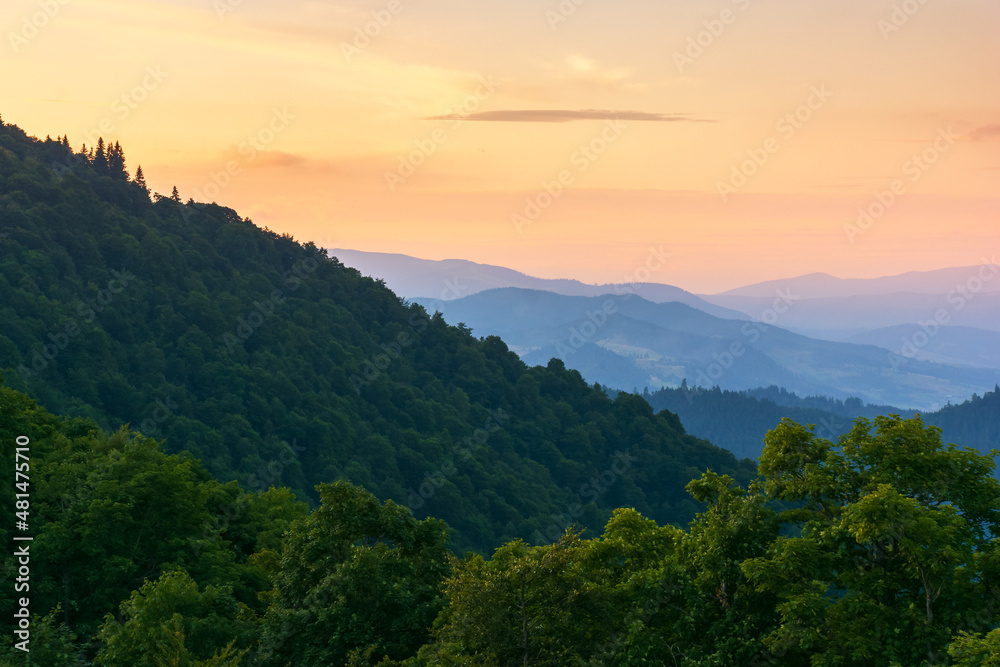 nature environment on summer sunset. beautiful mountain landscape with forested hills. clouds above the silhouette of distant ridge in evening light