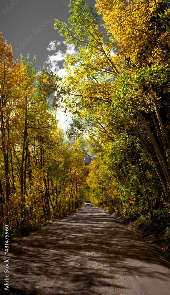 Surrounded by Nature Surrounded by Nature