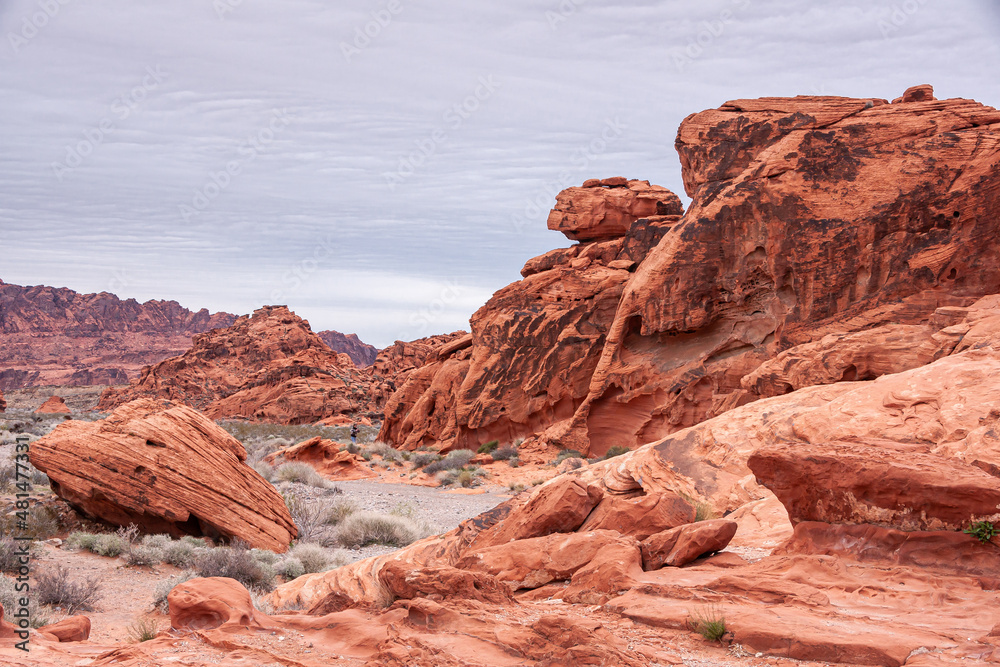 Overton, Nevada, USA - February 24, 2010: Valley of Fire. Landscape with red rocks of different heights on dry beige desert floor under thick gray cloudscape.