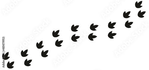 Dinosaur footprint path. Reptile track steps