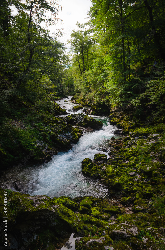 Vintgar gorge of Radovljica river in Slovenia
