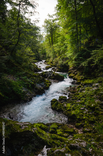 Vintgar gorge of Radovljica river in Slovenia
