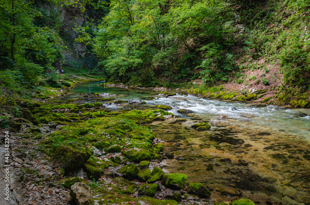 Vintgar gorge of Radovljica river in Slovenia
Vintgar gorge of Radovljica river in Slovenia