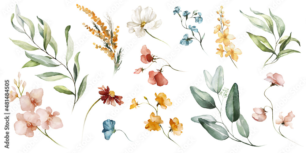 Obraz premium Watercolour floral illustration set. DIY blush pink blue flower, green leaves individual elements collection - for bouquets, wreaths, wedding invitations, anniversary, birthday, postcards, greetings.
