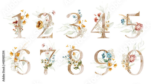 Gold Green Floral Number Set - digits 1, 2, 3, 4, 5, 6, 7, 8, 9, 0 blue yellow peach pink white gold botanic flower branch bouquets. Wedding invitations, baby shower, birthday, other concept ideas. photo