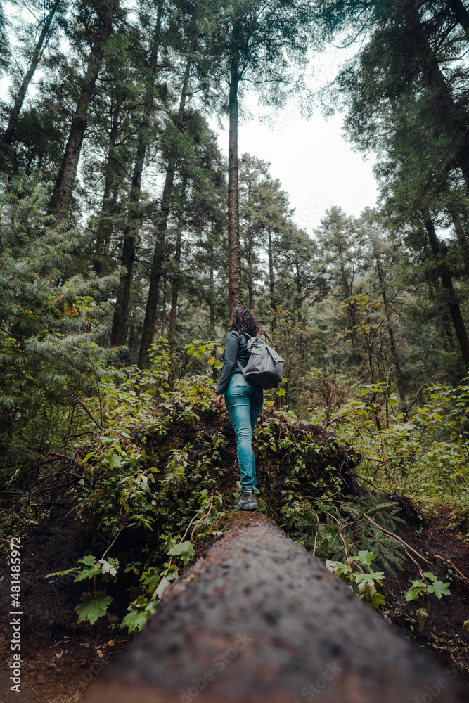 Mujer jóven hiker, con mochila caminando sobre un tronco en el bosque