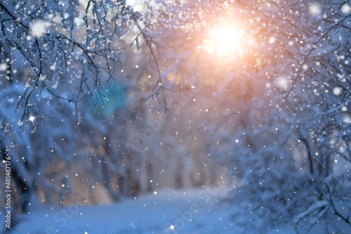 Fantasy Winter landscape, snowy forest and sun. The untouched snow sparkles.