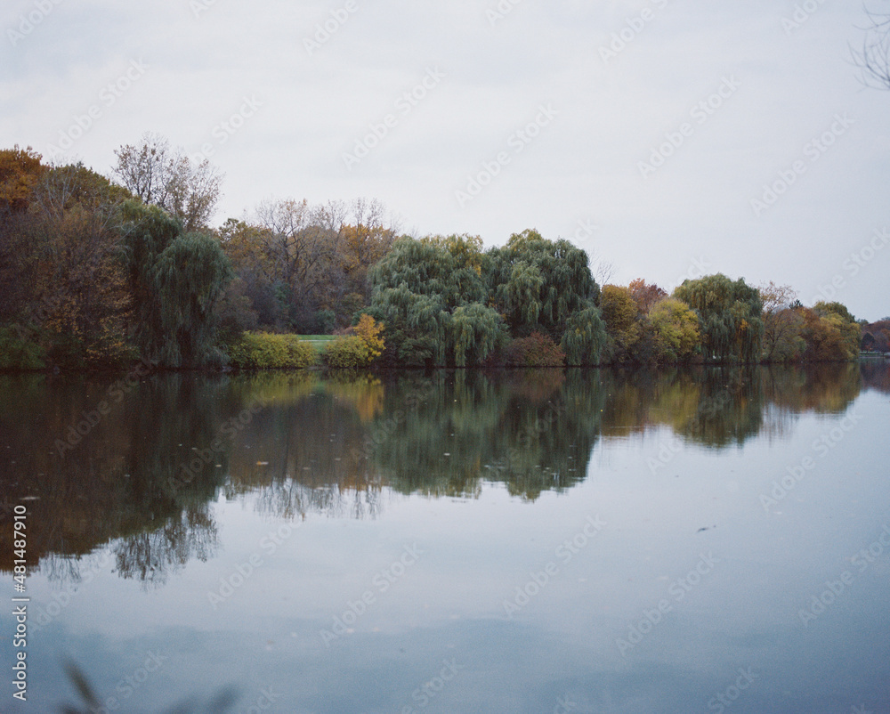 autumn trees reflected in water autumn trees reflected in water