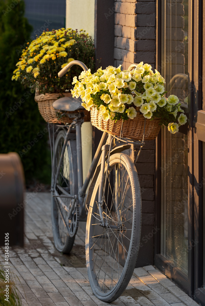 bicycle, decorated with flowers, in the sunset sunbeams